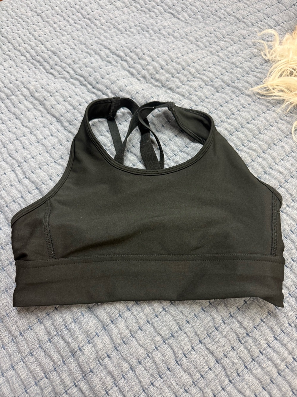 DSG Black High-Neck Strappy Crop Sports Bra